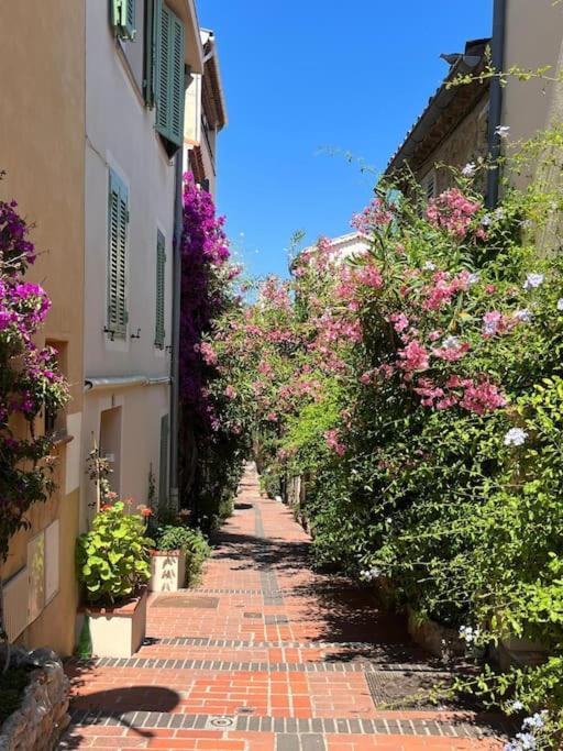 Strelizia - New Central Old Antibes For 4 Ac Экстерьер фото